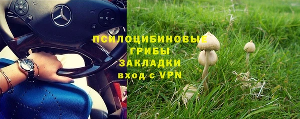 соль ск Волоколамск