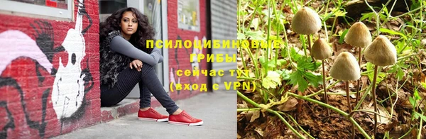 соль ск Волоколамск