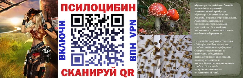 Псилоцибиновые грибы Psilocybe Каргополь